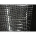 The High Quality Galvanized/ PVC Coated Welded Wire Mesh